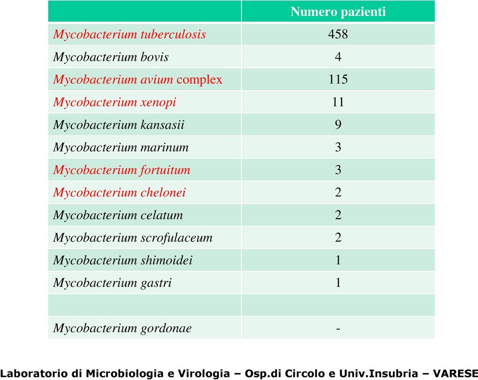 Mycobacterium chelonei 2 Mycobacterium celatum 2 Mycobacterium scrofulaceum 2 Mycobacterium shimoidei 1