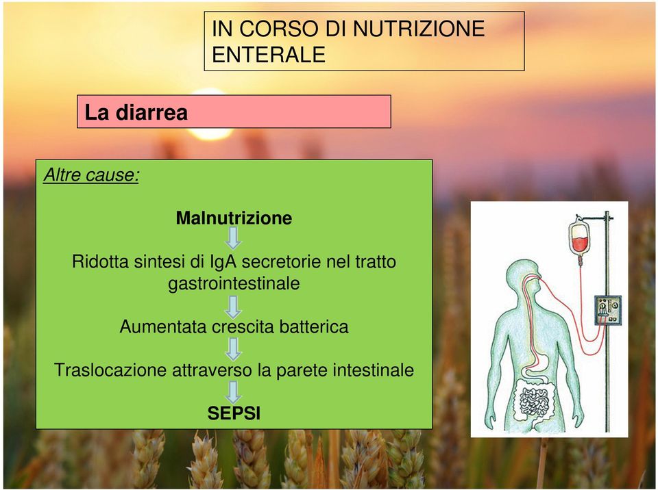 secretorie nel tratto gastrointestinale Aumentata