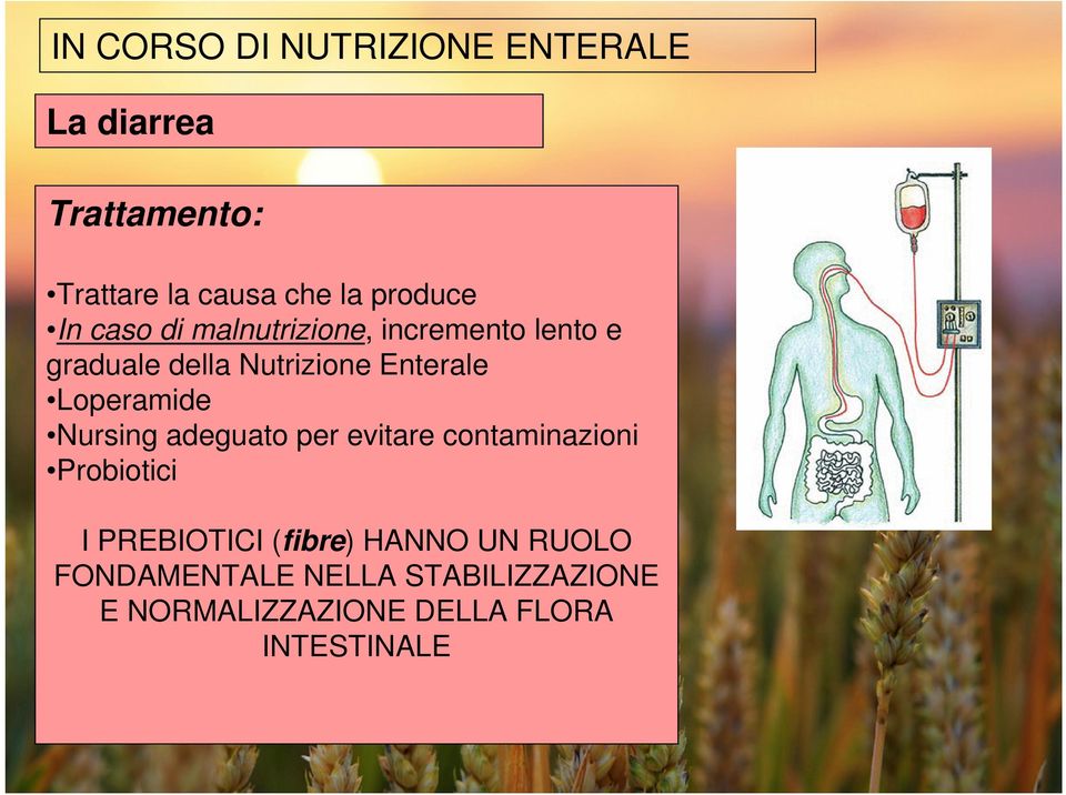 Enterale Loperamide Nursing adeguato per evitare contaminazioni Probiotici I