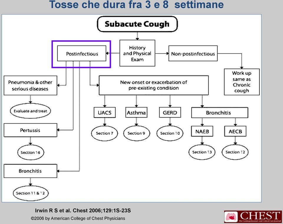 Chest 2006;129:1S-23S 2006 by