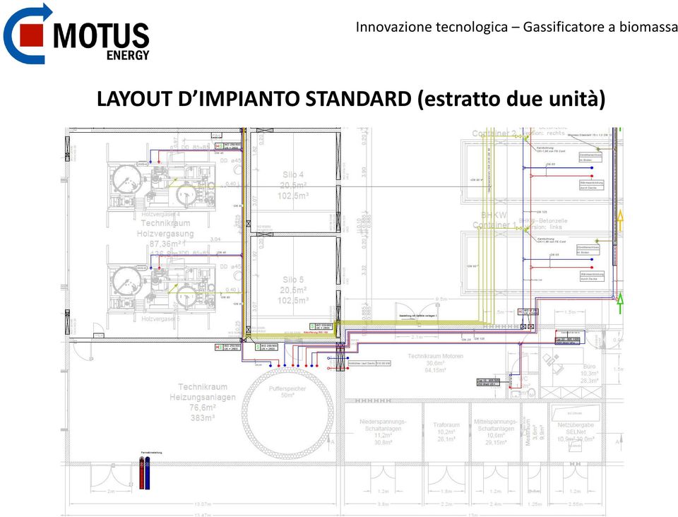 biomassa LAYOUT D