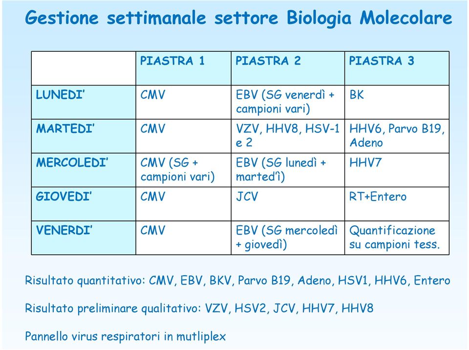 JCV RT+Entero VENERDI CMV EBV (SG mercoledì + giovedì) Quantificazione su campioni tess.