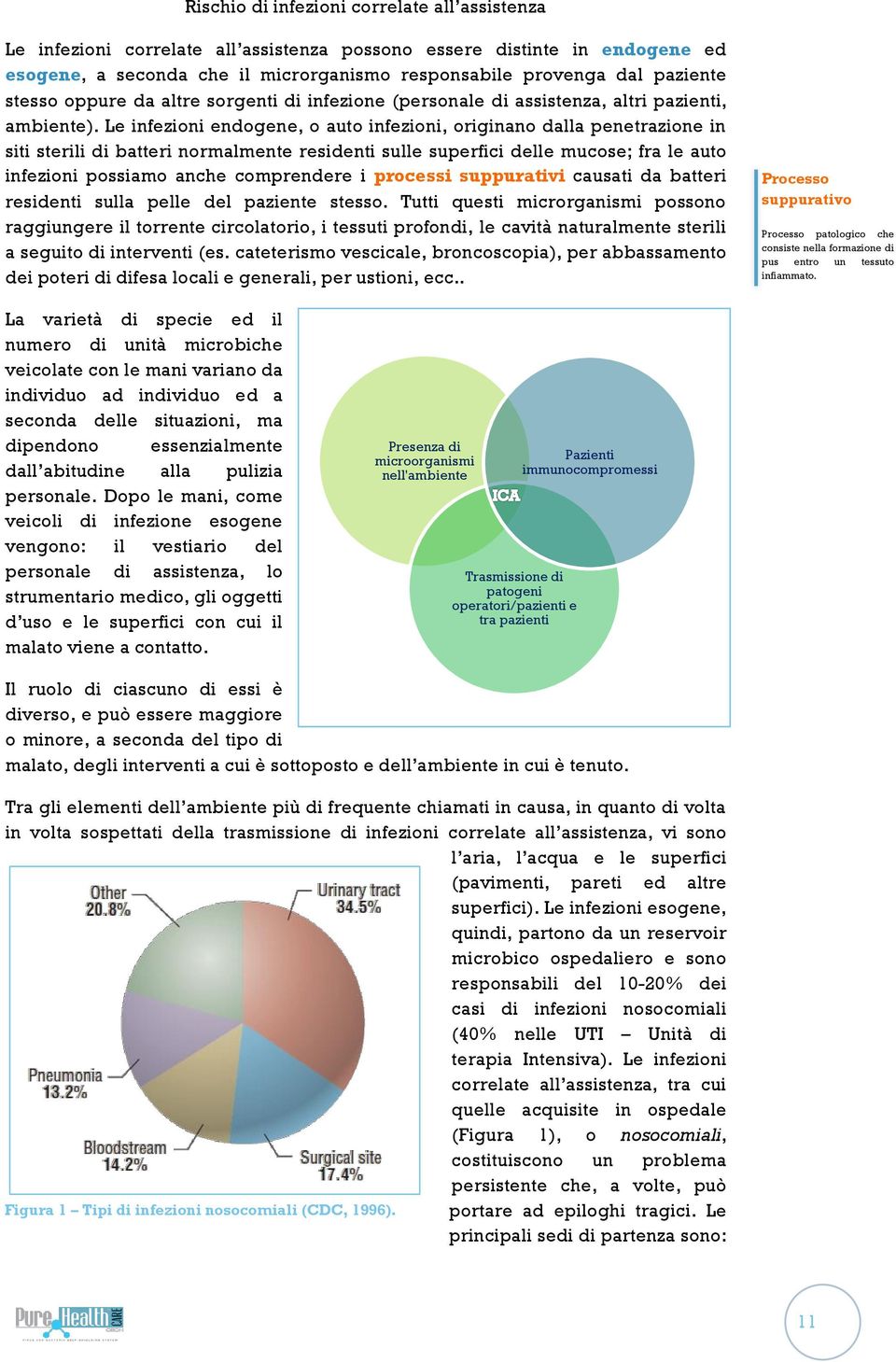 Le infezioni endogene, o auto infezioni, originano dalla penetrazione in siti sterili di batteri normalmente residenti sulle superfici delle mucose; fra le auto infezioni possiamo anche comprendere i