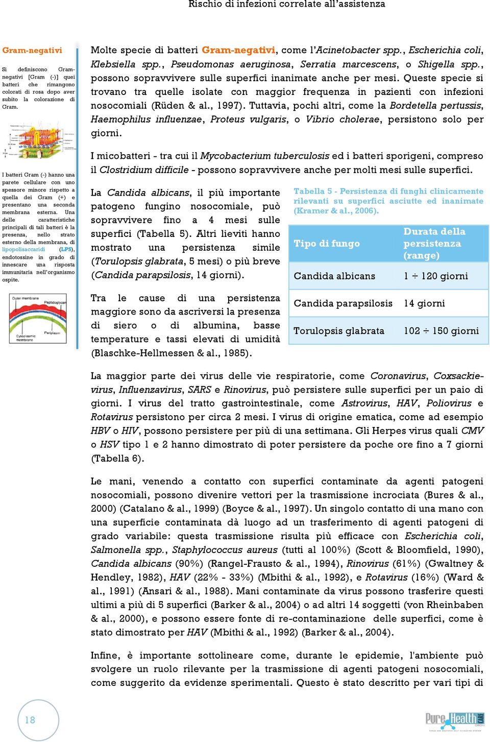 Una delle caratteristiche principali di tali batteri è la presenza, nello strato esterno della membrana, di lipopolisaccaridi (LPS), endotossine in grado di innescare una risposta immunitaria nell