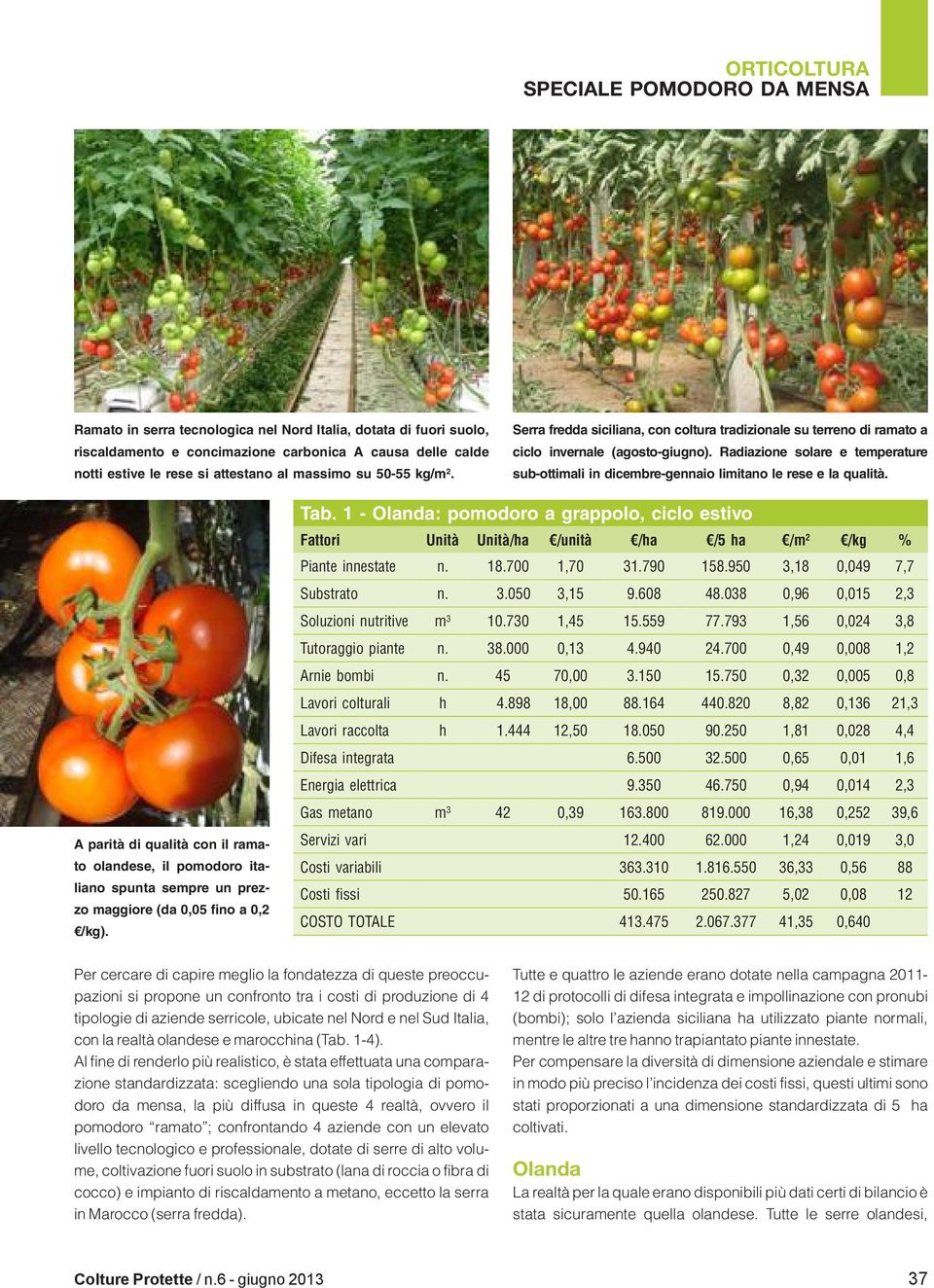 A parità di qualità con il ramato olandese, il pomodoro italiano spunta sempre un prezzo maggiore (da 0,05 fino a 0,2 /kg). Tab. 1 - Olanda: pomodoro a grappolo, ciclo estivo Piante innestate n. 18.