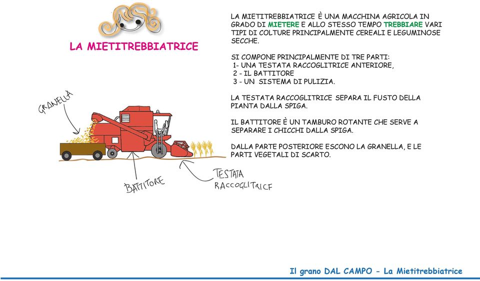 SI COMPONE PRINCIPALMENTE DI TRE PARTI: 1- UNA TESTATA RACCOGLITRICE ANTERIORE, 2 - IL BATTITORE 3 - UN SISTEMA DI PULIZIA.