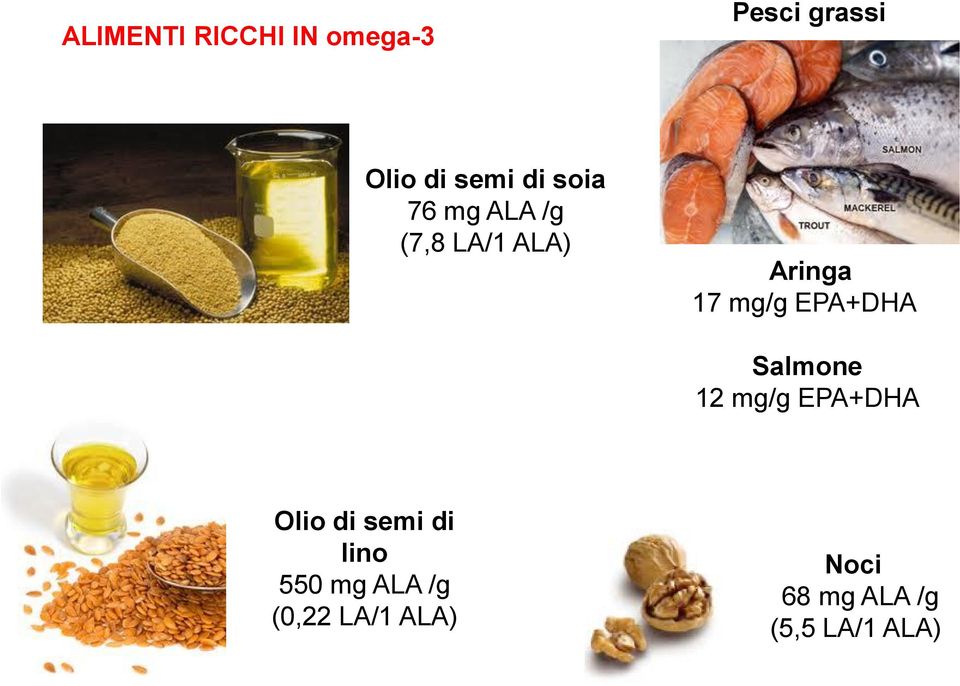 EPA+DHA Salmone 12 mg/g EPA+DHA Olio di semi di lino