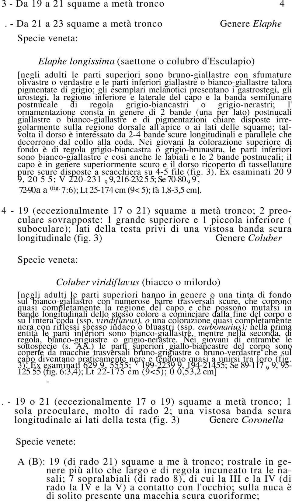 verdastre e le parti inferiori giallastre o bianco-giallastre talora pigmentate di grigio; gli esemplari melanotici presentano i gastrostegi, gli urostegi, la regione inferiore e laterale del capo e