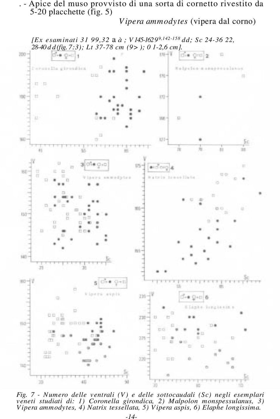 (fig. 7:3); Lt 37-78 cm (9> ); 0 1-2,6 cm]. Fig.