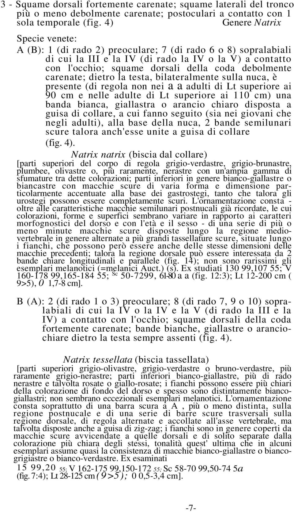 dietro la testa, bilateralmente sulla nuca, è presente (di regola non nei aaadulti di Lt superiore ai 90 cm e nelle adulte di Lt superiore ai 110 cm) una banda bianca, giallastra o arancio chiaro