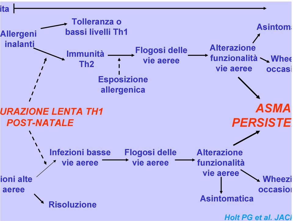 aeree Asintoma Whee occasi ASMA PERSISTEN oni alte aeree Infezioni basse vie aeree