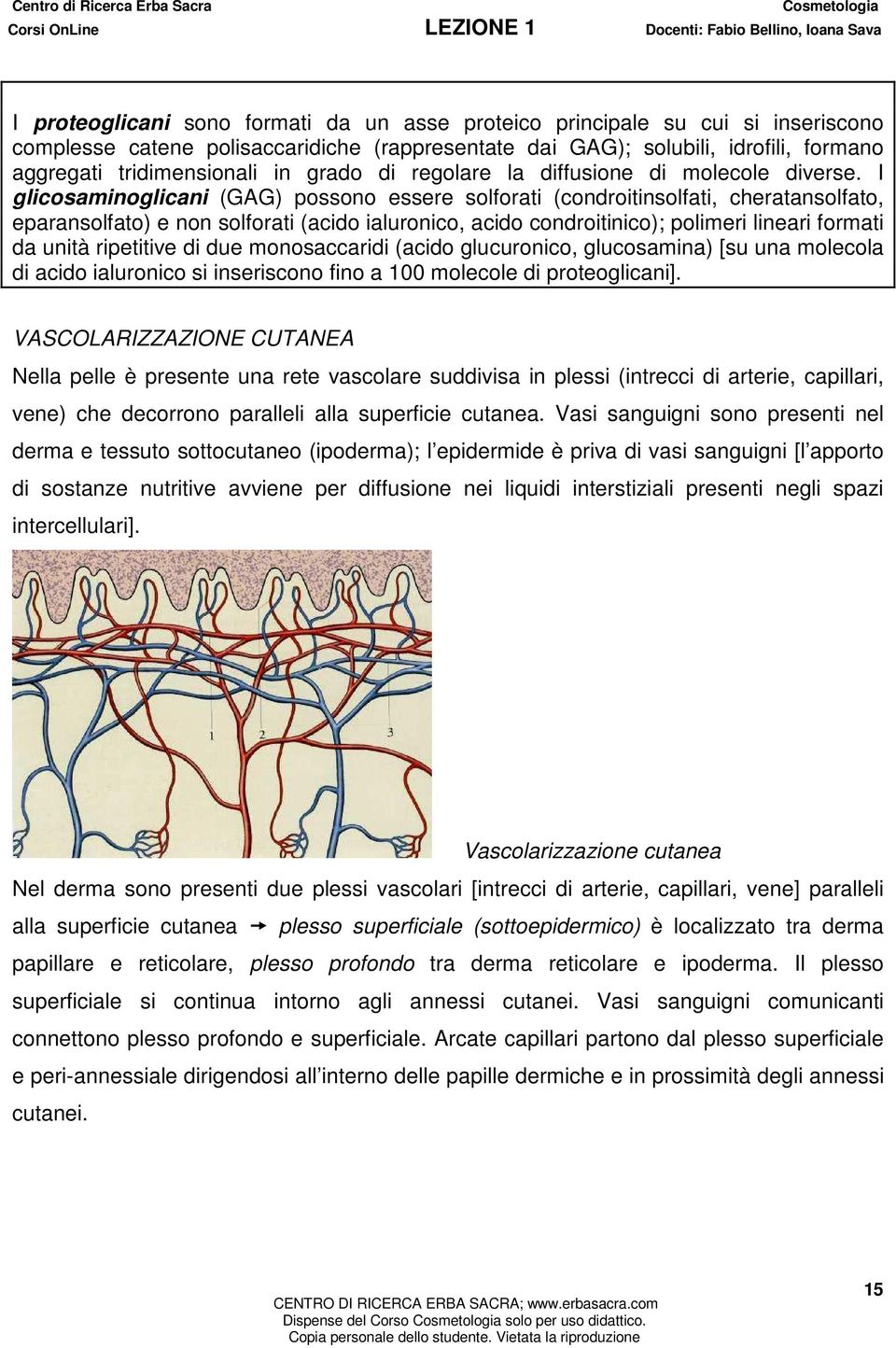 I glicosaminoglicani (GAG) possono essere solforati (condroitinsolfati, cheratansolfato, eparansolfato) e non solforati (acido ialuronico, acido condroitinico); polimeri lineari formati da unità