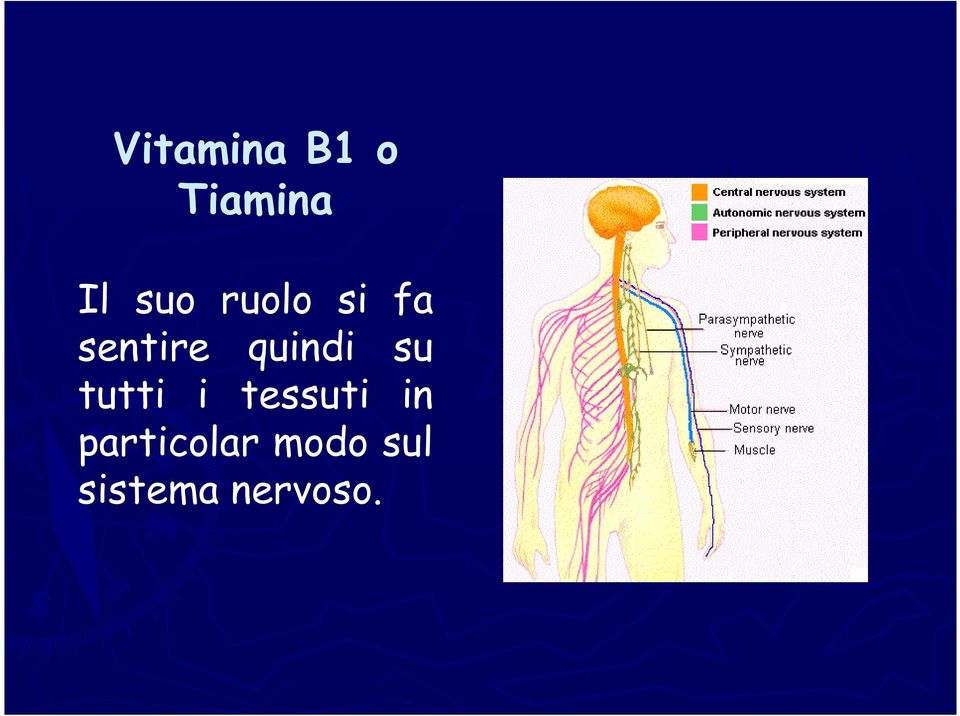 su tutti i tessuti in