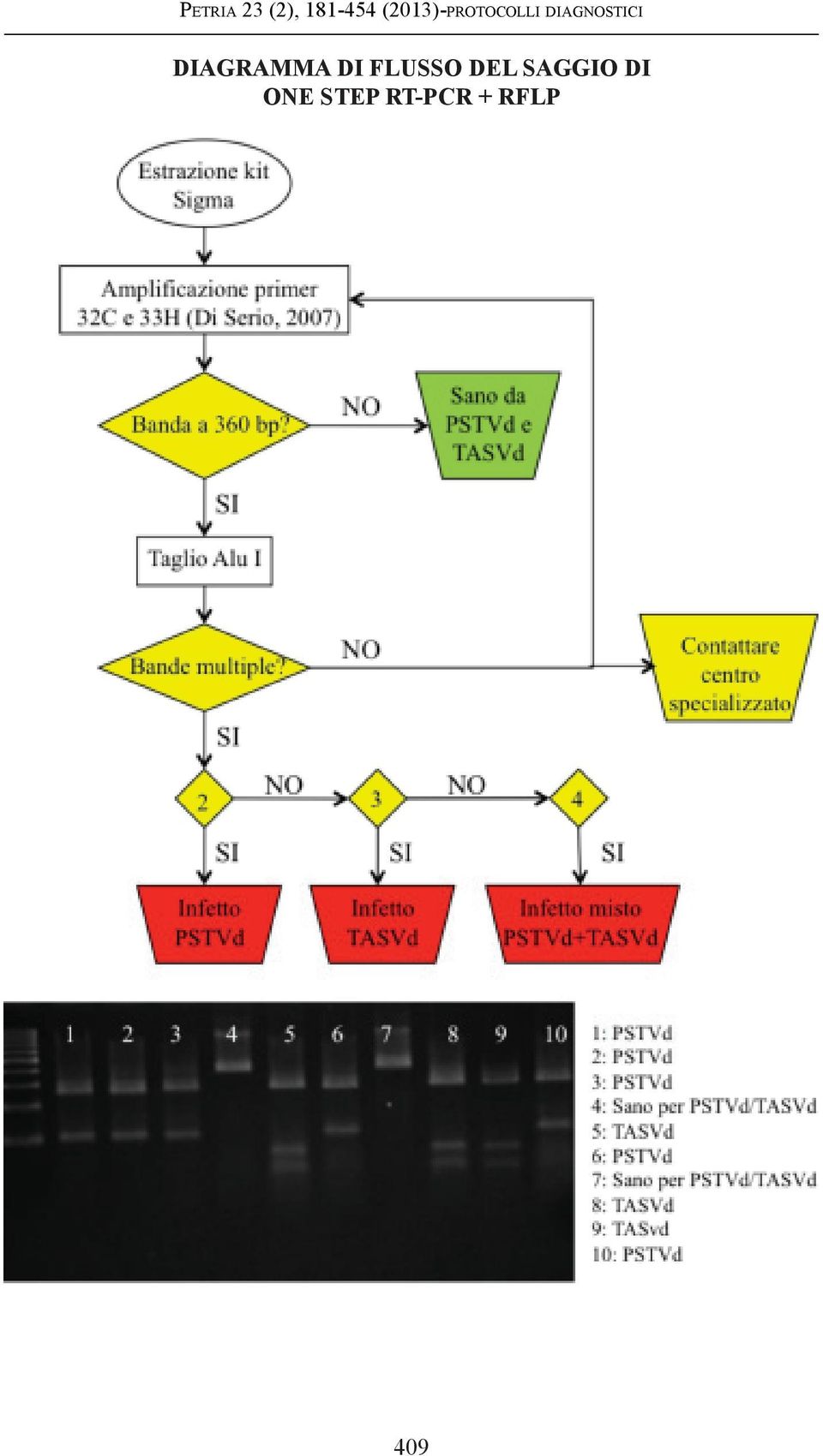 diagnostici DIAGRAMMA DI