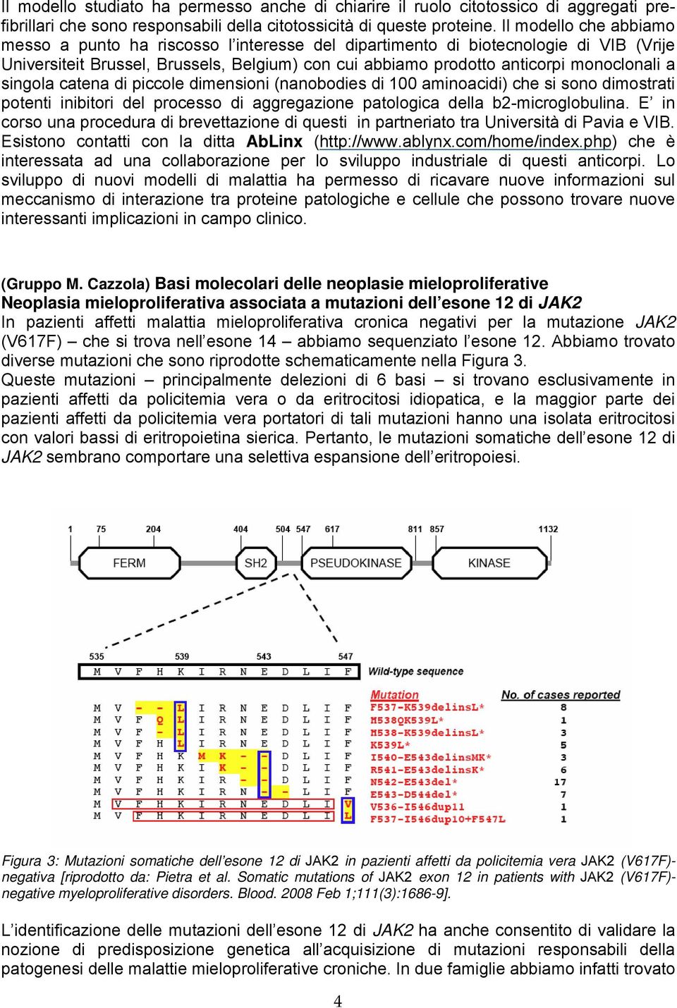 singola catena di piccole dimensioni (nanobodies di 100 aminoacidi) che si sono dimostrati potenti inibitori del processo di aggregazione patologica della b2-microglobulina.