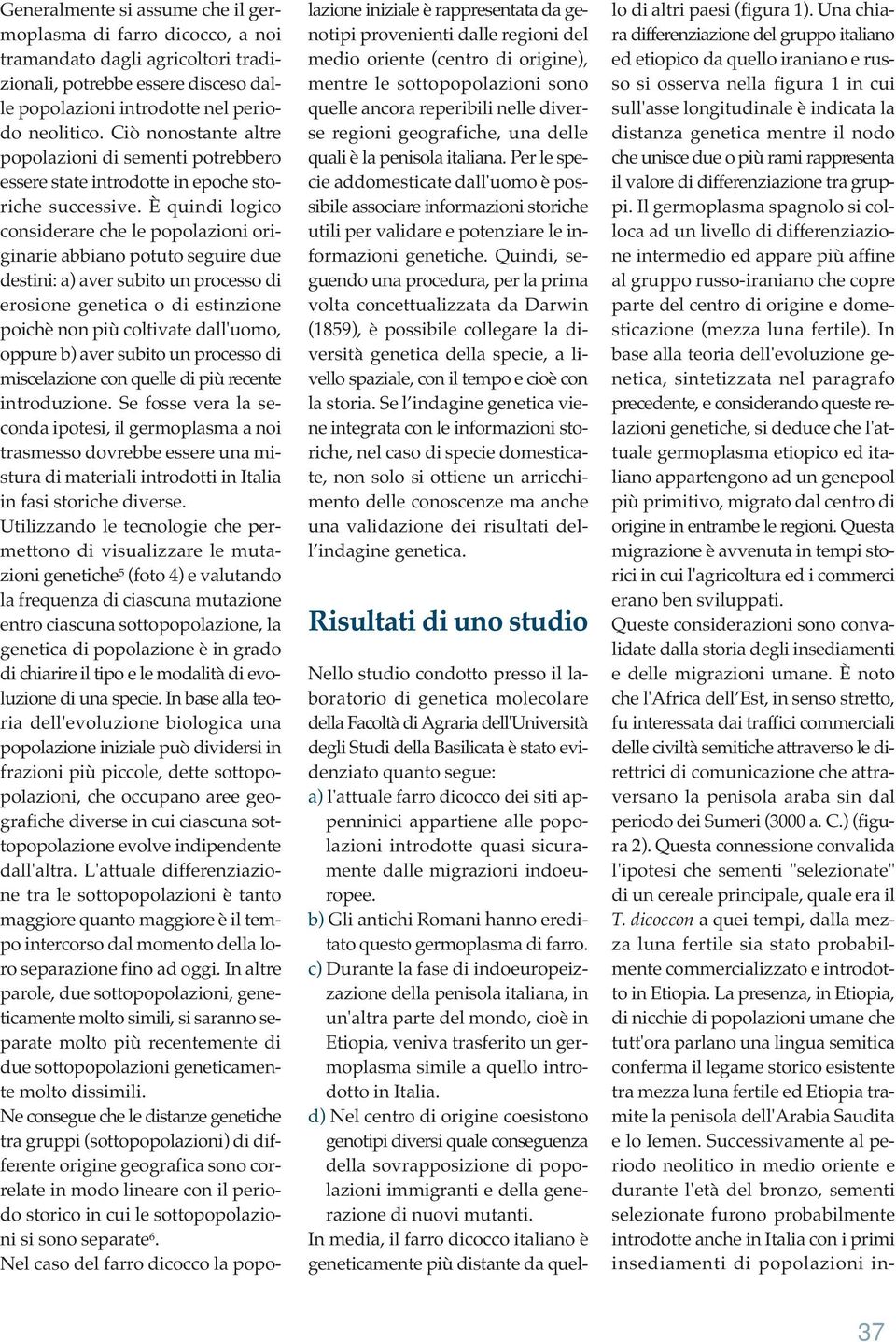 È quindi logico considerare che le popolazioni originarie abbiano potuto seguire due destini: a) aver subito un processo di erosione genetica o di estinzione poichè non più coltivate dall'uomo,