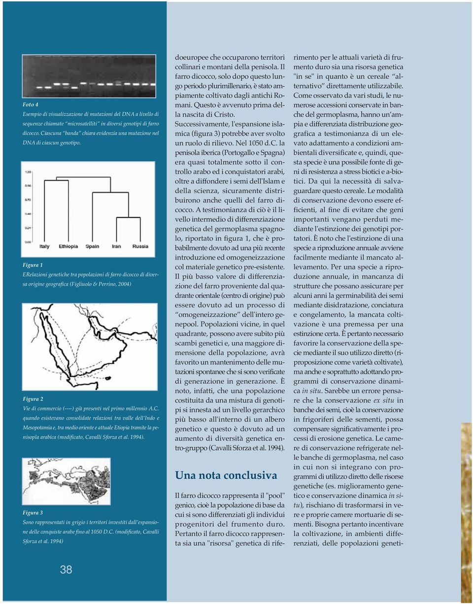 Figura 1 ERelazioni genetiche tra popolazioni di farro dicocco di diversa origine geografica (Figliuolo & Perrino, 2004) Figura 2 Vie di commercio (----) già presenti nel primo millennio A.C.