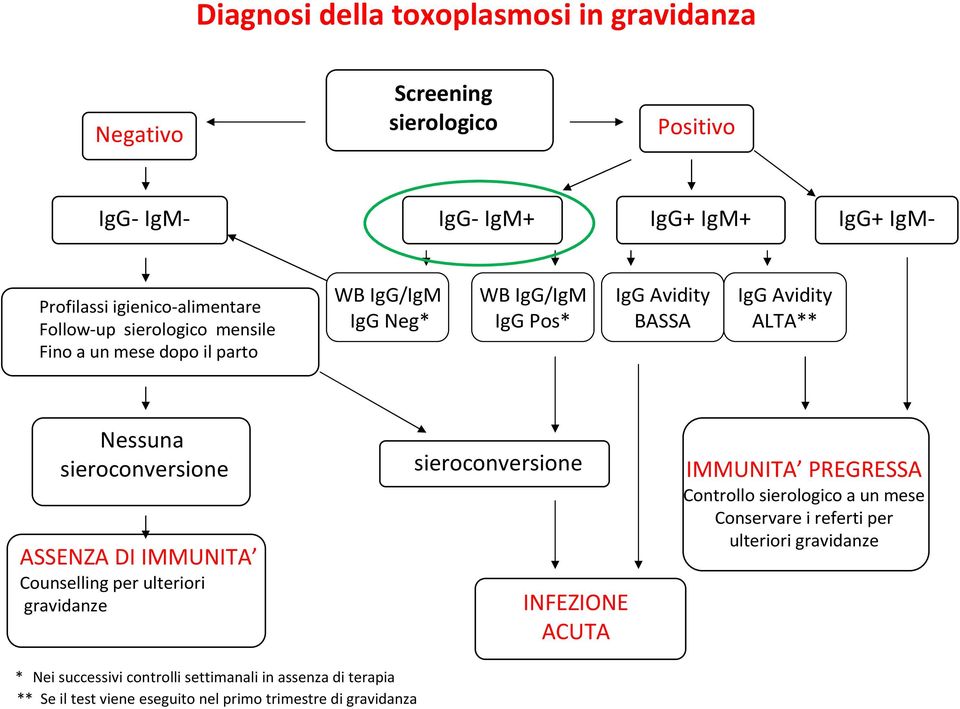 sieroconversione ASSENZA DI IMMUNITA Counselling per ulteriori gravidanze sieroconversione INFEZIONE ACUTA IMMUNITA PREGRESSA Controllo sierologico a un