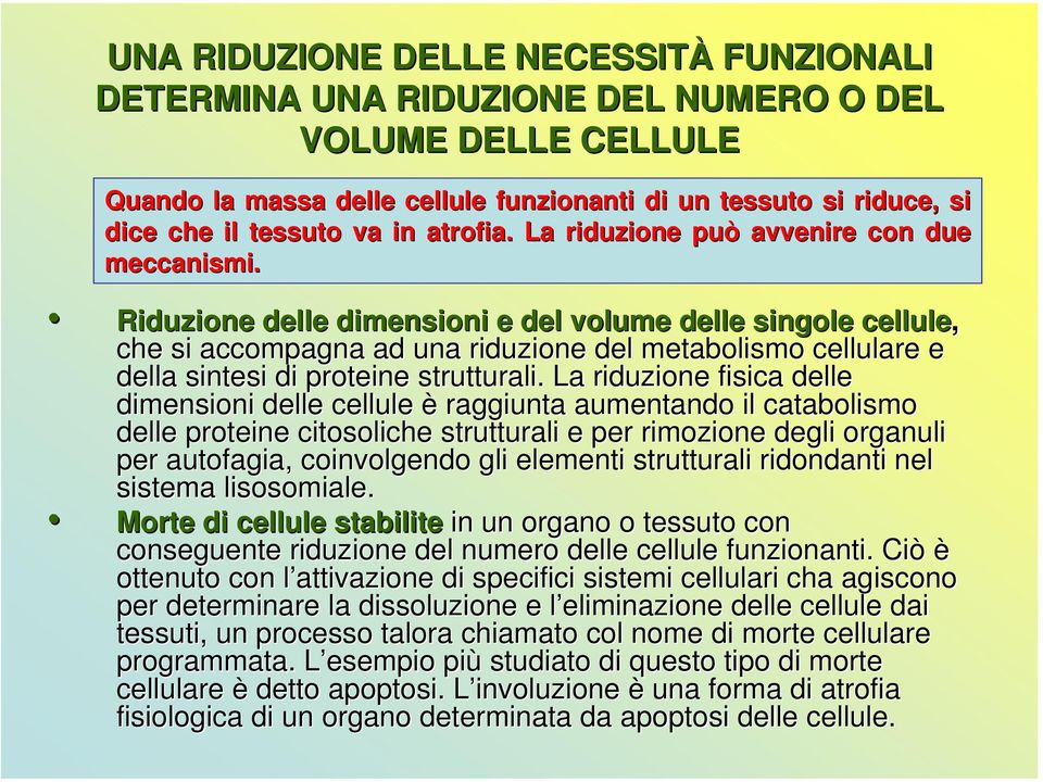 Riduzione delle dimensioni e del volume delle singole cellule, che si accompagna ad una riduzione del metabolismo cellulare e della sintesi di proteine strutturali.