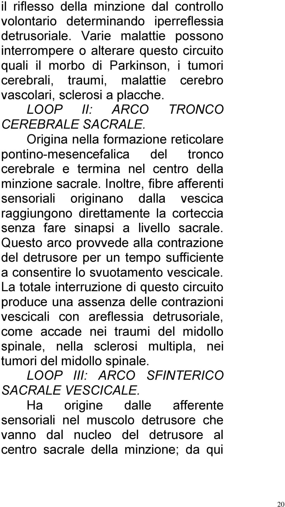 LOOP II: ARCO TRONCO CEREBRALE SACRALE. Origina nella formazione reticolare pontino-mesencefalica del tronco cerebrale e termina nel centro della minzione sacrale.