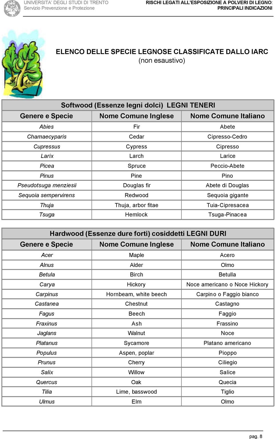 gigante Thuja Thuja, arbor fitae Tuia-Cipresacea Tsuga Hemlock Tsuga-Pinacea Hardwood (Essenze dure forti) cosiddetti LEGNI DURI Genere e Specie Nome Comune Inglese Nome Comune Italiano Acer Maple