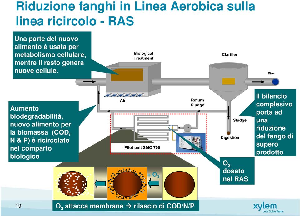 Aumento biodegradabilità, nuovo alimento per la biomassa (COD, N & P) è ricircolato nel comparto