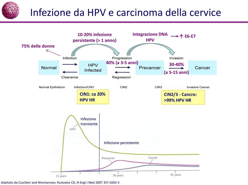 anni) CIN1: ca 20% HPV CIN2/3 - Cancro: >99% HPV Infezione transiente Infezione