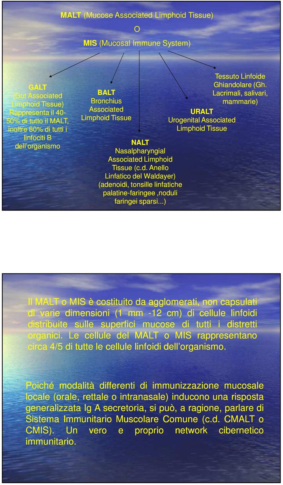 BALT Lacrimali, salivari, Bronchius mammarie) Associated URALT Limphoid Tissue Urogenital Associated Limphoid Tissue NALT Nasalpharyngial Associated Limphoid Tissue (c.d. Anello Linfatico del Waldayer) (adenoidi, tonsille linfatiche palatine-faringee,noduli faringei sparsi.