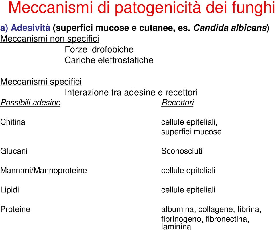 Interazione tra adesine e recettori Possibili adesine Recettori Chitina Glucani Mannani/Mannoproteine Lipidi