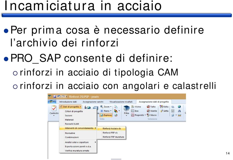 PRO_SAP consente di definire: rinforzi in acciaio