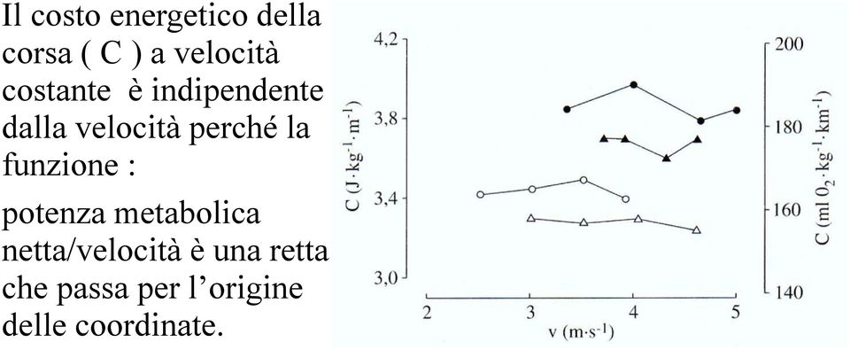 funzione : potenza metabolica netta/velocità è