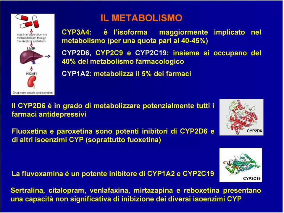 Fluoxetina e paroxetina sono potenti inibitori di CYP2D6 e di altri isoenzimi CYP (soprattutto fuoxetina) CYP2D6 La fluvoxamina è un potente inibitore di