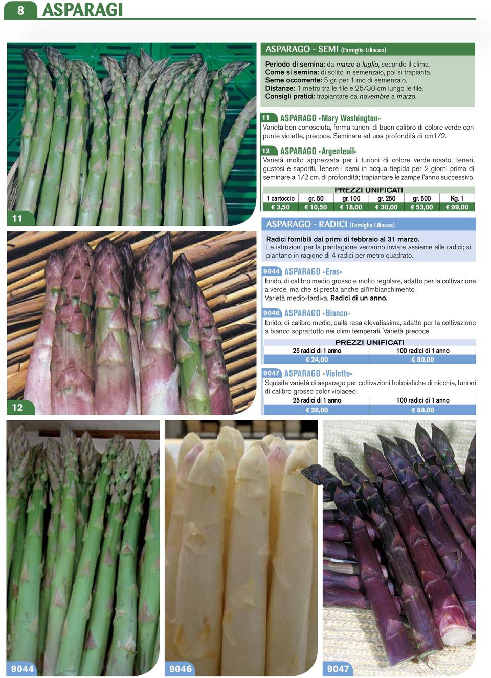 11 12 ASPARAGO «Mary Washington» 11 Varietà ben conosciuta, forma turioni di buon calibro di colore verde con punte violette, precoce. Seminare ad una profondità di cm1/2.