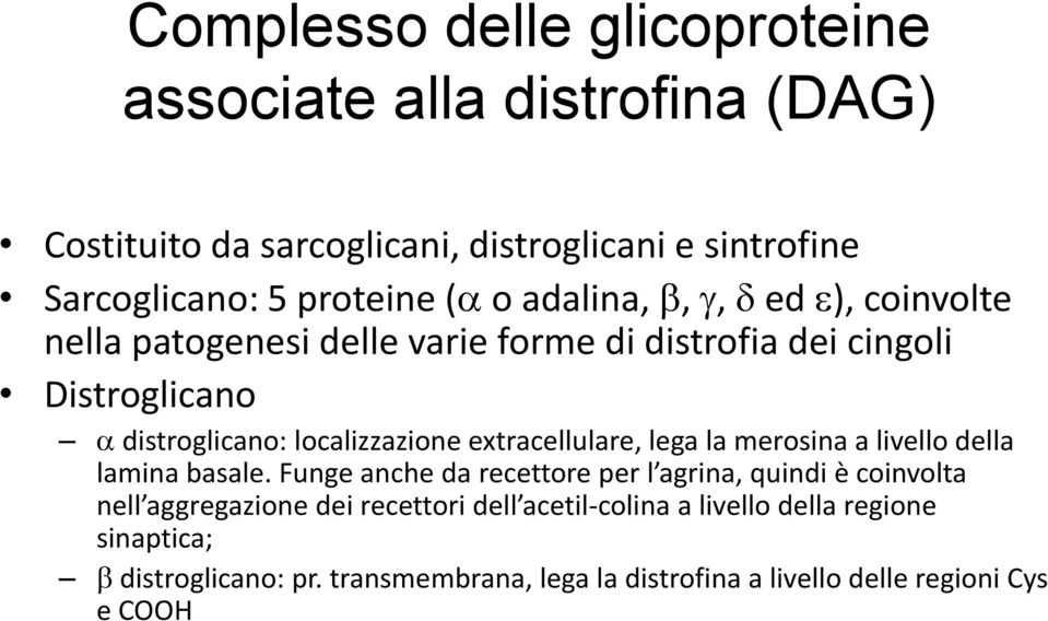 extracellulare, lega la merosina a livello della lamina basale.