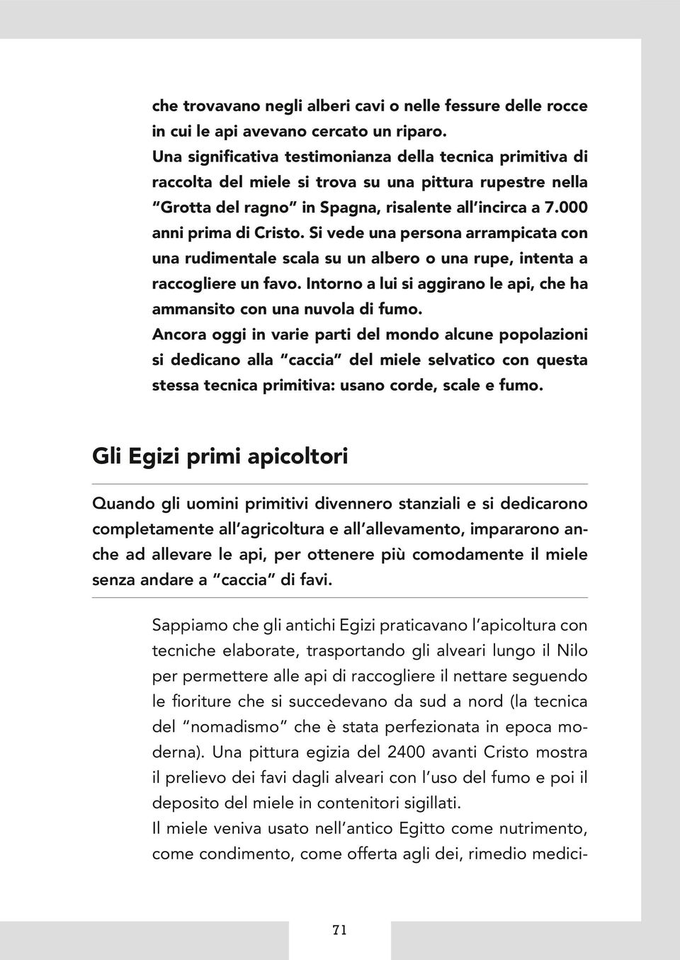 Si vede una persona arrampicata con una rudimentale scala su un albero o una rupe, intenta a raccogliere un favo. Intorno a lui si aggirano le api, che ha ammansito con una nuvola di fumo.