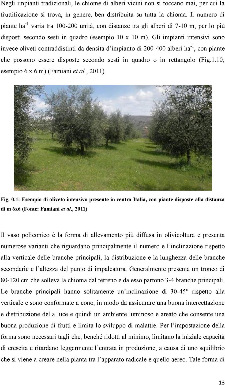 Gli impianti intensivi sono invece oliveti contraddistinti da densità d impianto di 200-400 alberi ha -1, con piante che possono essere disposte secondo sesti in quadro o in rettangolo (Fig.1.10; esempio 6 x 6 m) (Famiani et al.