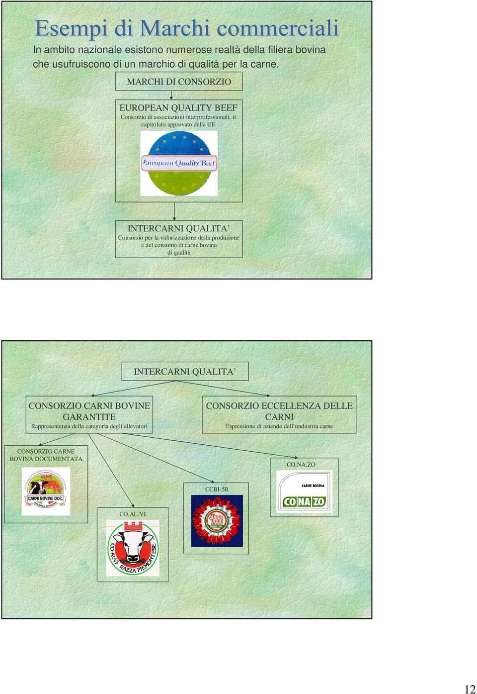 Consorsio per la valorizzazione della produzione e del consumo di carne bovina di qualità INTERCARNI QUALITA CONSORZIO CARNI BOVINE GARANTITE