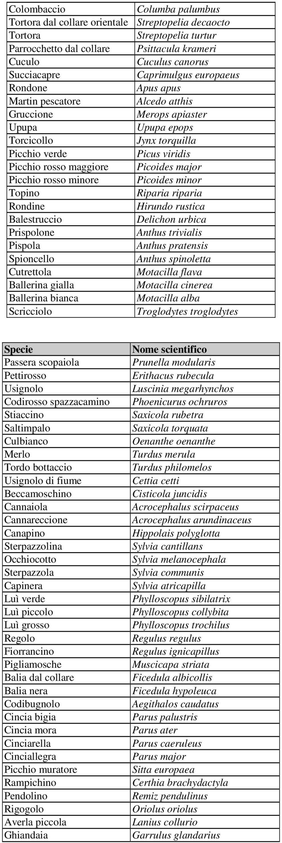 Picchio rosso minore Picoides minor Topino Riparia riparia Rondine Hirundo rustica Balestruccio Delichon urbica Prispolone Anthus trivialis Pispola Anthus pratensis Spioncello Anthus spinoletta