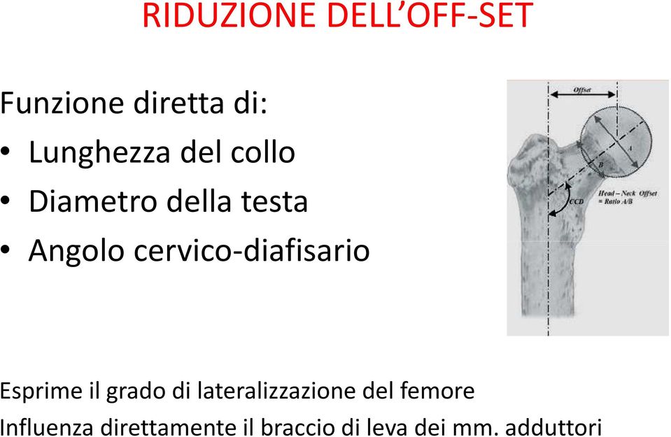 cervico-diafisario Esprime il grado di