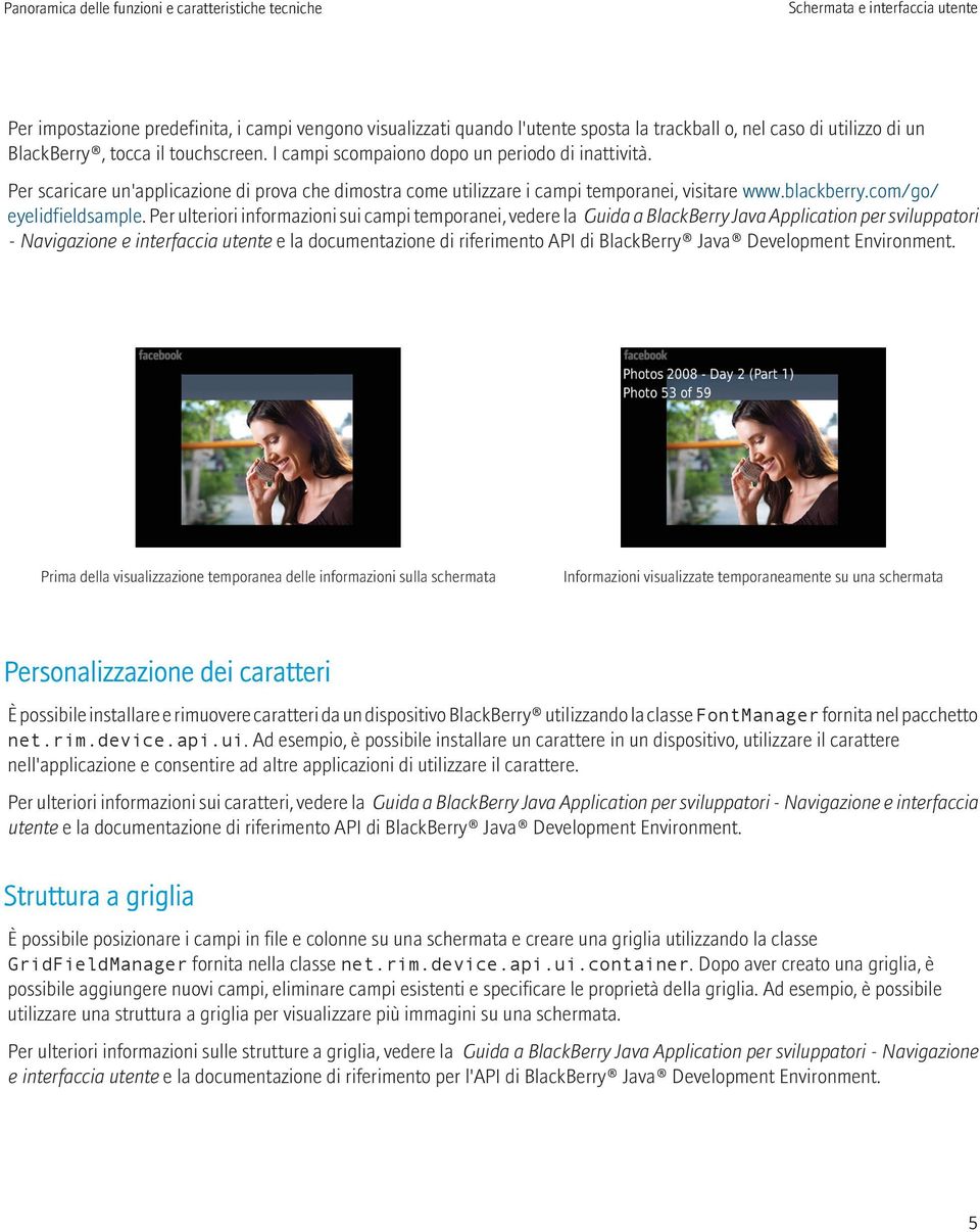 Per ulteriori informazioni sui campi temporanei, vedere la Guida a BlackBerry Java Application per sviluppatori - Navigazione e interfaccia utente e la documentazione di riferimento API di BlackBerry