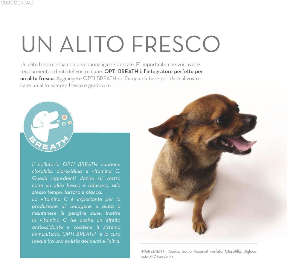 Il collutorio OPTI BREATH contiene clorofilla, clorexidina e vitamina C. Questi ingredienti danno al vostro cane un alito fresco e riducono, allo stesso tempo, tartaro e placca.