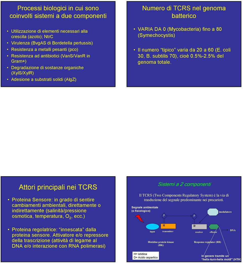 fino a 80 (Symechocystis) Il numero tipico varia da 20 a 60 (E. coli 30, B. subtilis 70), cioè 0.5%-2.5% del genoma totale.