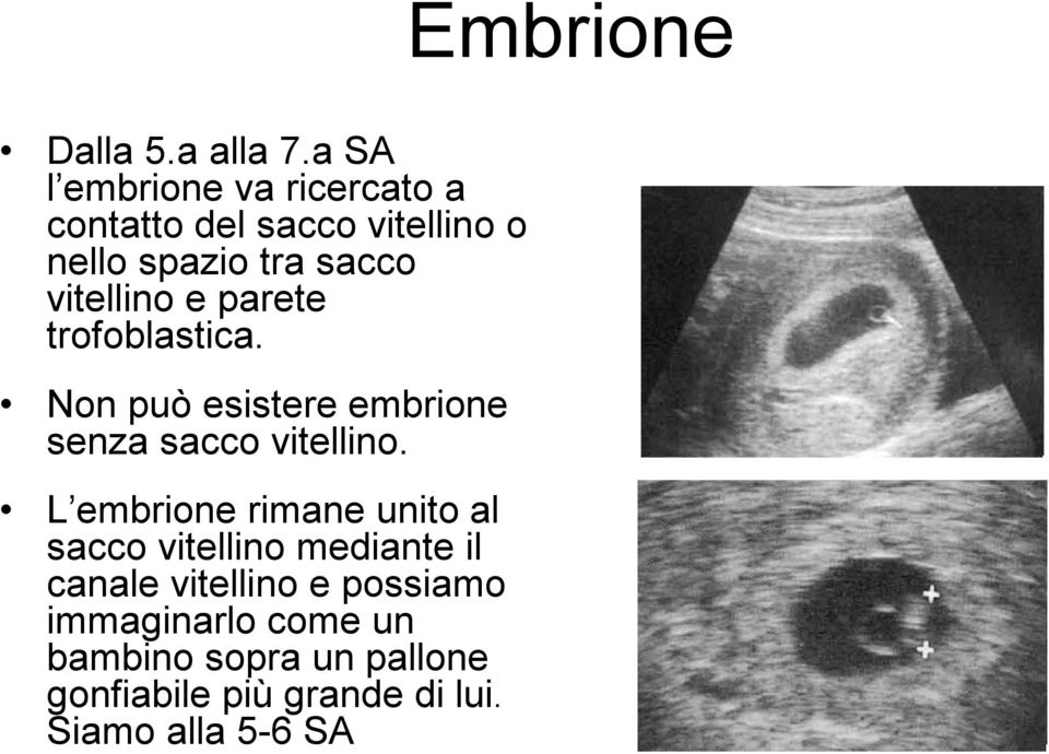 vitellino e parete trofoblastica. Non può esistere embrione senza sacco vitellino.