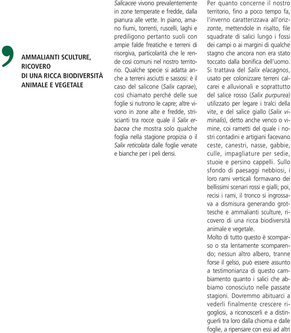 Qualche specie si adatta anche a terreni asciutti e sassosi: è il caso del salicone (Salix ca prae), così chiamato perché delle sue foglie si nutrono le ca pre; altre vi - vo no in zone alte e