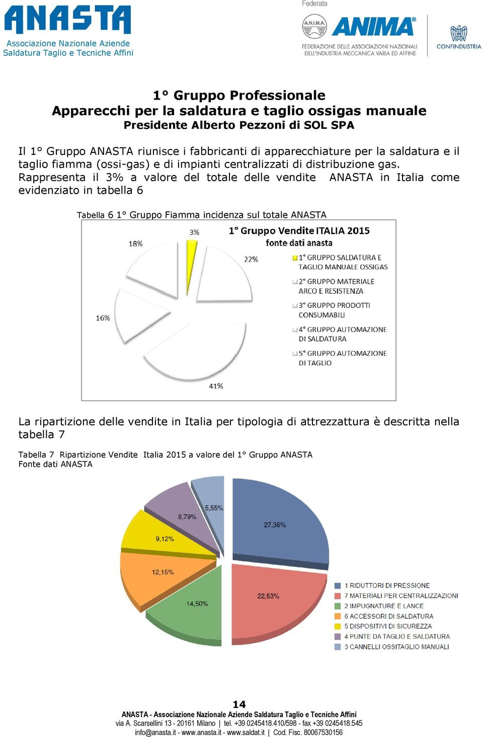 Rappresenta il 3% a valore del totale delle vendite ANASTA in Italia come evidenziato in tabella 6 Tabella 6 1 Gruppo Fiamma incidenza sul totale ANASTA