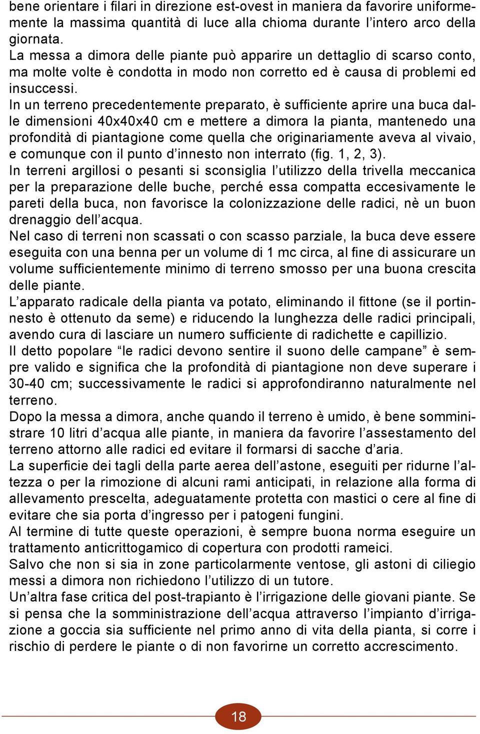 In un terreno precedentemente preparato, è sufficiente aprire una buca dalle dimensioni 40x40x40 cm e mettere a dimora la pianta, mantenedo una profondità di piantagione come quella che