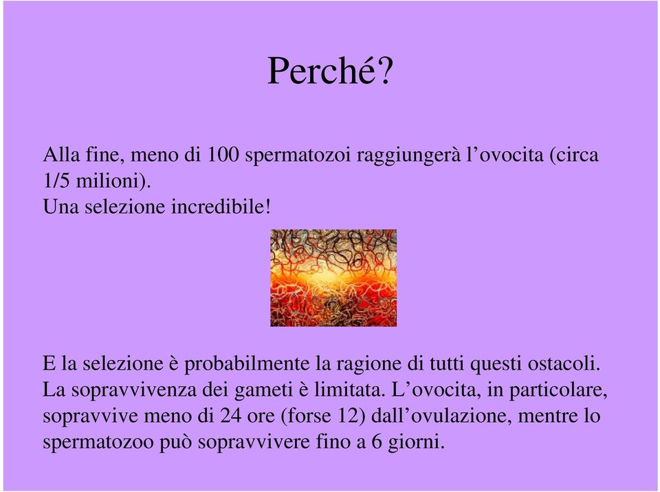 E la selezione è probabilmente la ragione di tutti questi ostacoli.