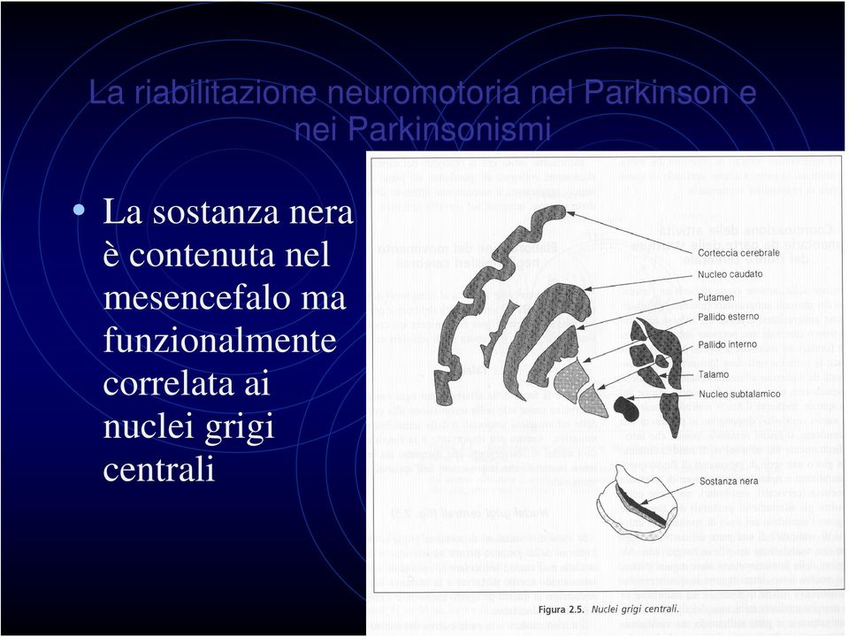 sostanza nera è contenuta nel