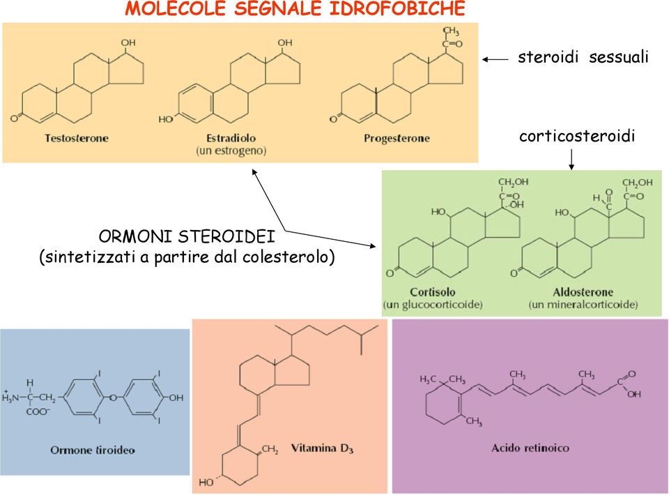 corticosteroidi ORMONI