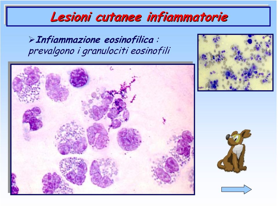 Infiammazione